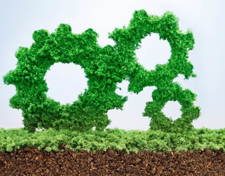 Inherent problems with supply chains have led to major environmental disasters and widespread social inequality. UCD researchers are working with industry to develop tools that allow them to assess their supply chains effectively and try to prevent such disasters and improve working conditions for the future. 