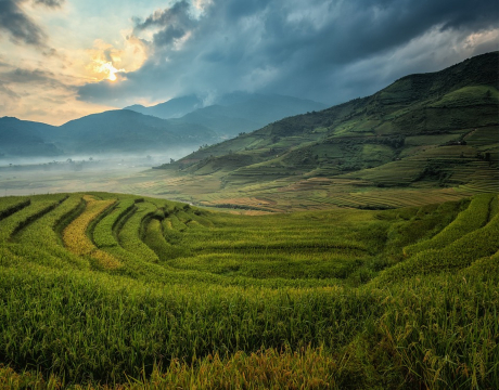 Working with international partners to empower citizens and ensure a just transition for all.