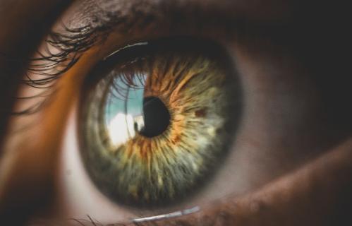 Newly discovered gene mutation in eye disease named after blind Irish poet