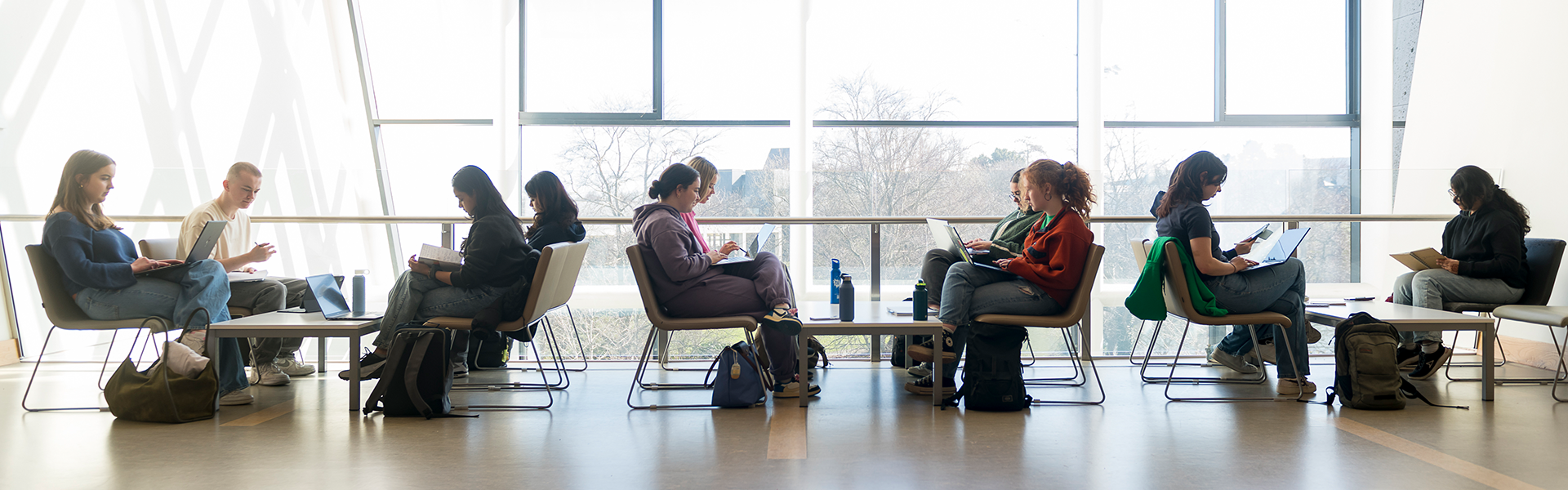 UCD Science students in a study area