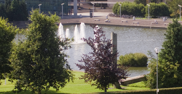 UCD Lake