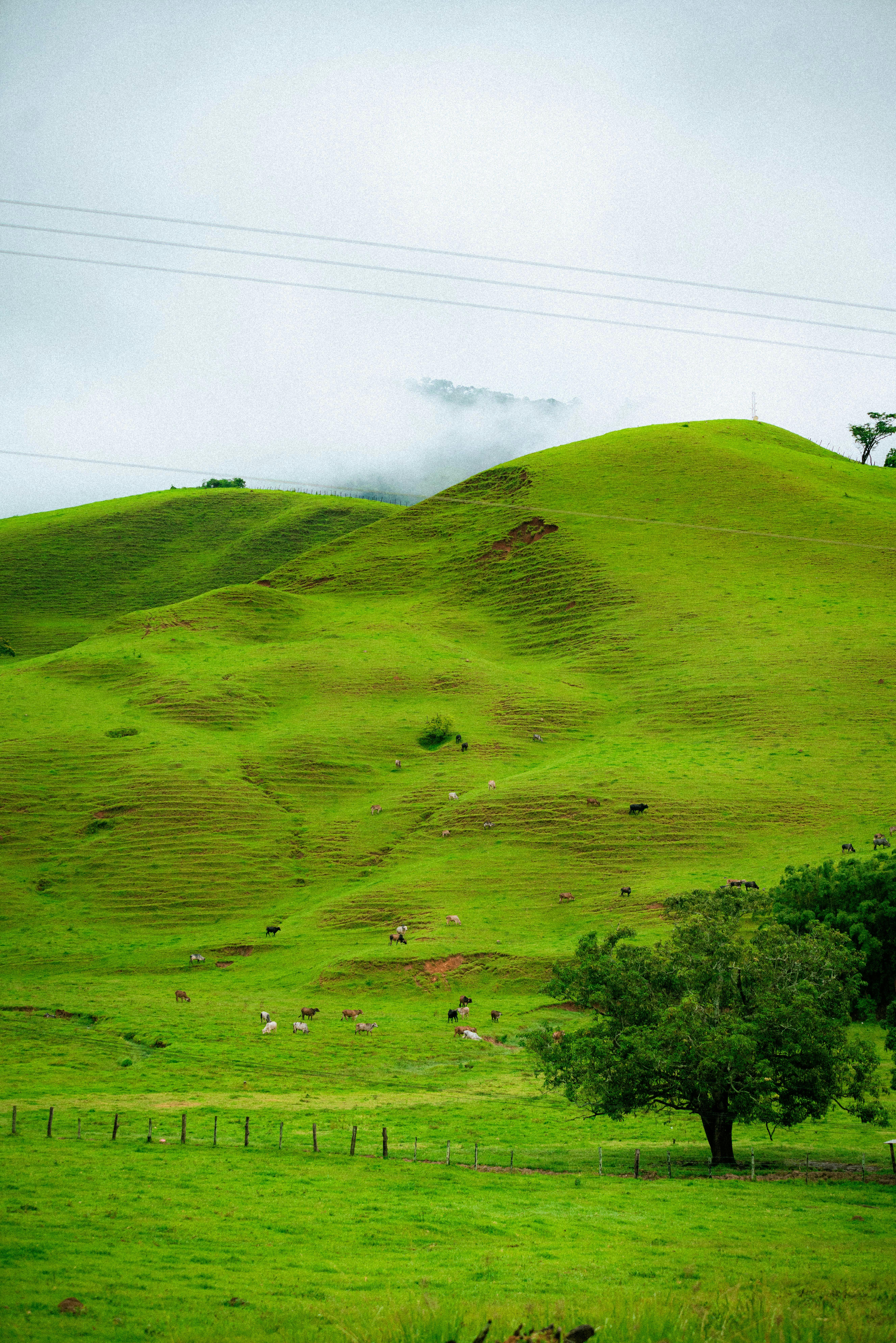 PROPERTY[IN]JUSTICE: Land, Property and Spatial Justice in International Law