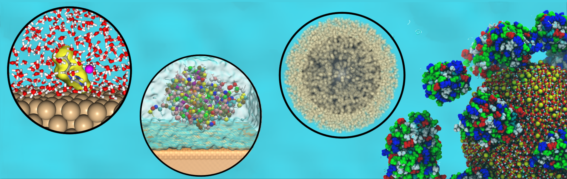 A banner showing a small molecule adsorbing to a surface, a protein on the surface of a nanoparticle, a multicomponent nanoparticle and a corona rendering.