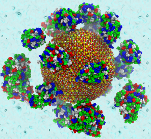 A rendering of proteins surrounding a silica nanoparticle in water.