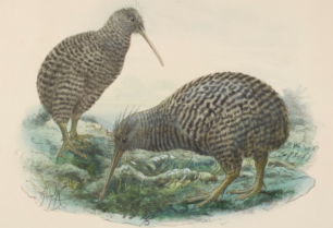 Feb-April 2020 - SouthHem Seminar Series