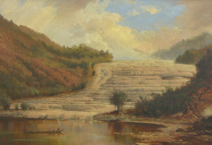 Indigenous Plant Collectors and the Making of European Natural History in Nineteenth-Century New Zealand