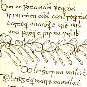 manuscripts collection image