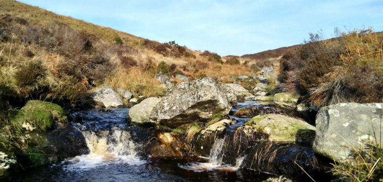 Tributary of Cloghoge River, Wicklow