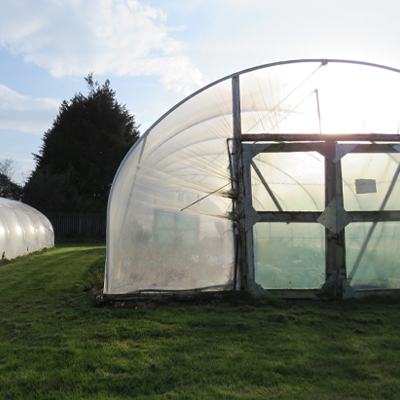 Image of a poly tunnel