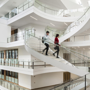 O'Brien Science Centre staircase