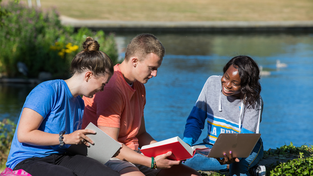 Summer at UCD FAQs