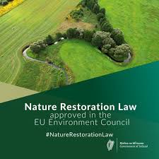 The Irish government has named Dr Aoibhinn Ní Shúilleabháin Chair of the Independent Advisory Committee (IAC) on Nature Restoration. The six-member committee also includes Prof Tasman Crowe, VP for Sustainability at UCD.