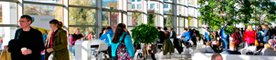 mfa creative writing dublin Student stories