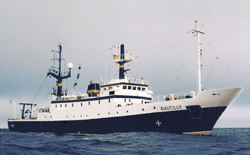 Nautilus