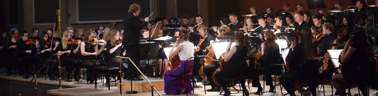 ucd school of music what is the size of the orchestra in this excerpt