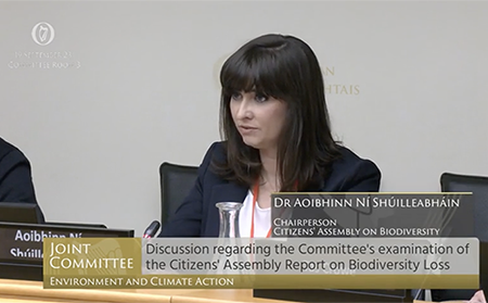 Biodiversity loss not a priority for ‘successive governments’,  Oireachtas committee hears