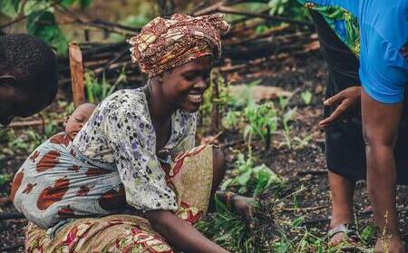 UCD project to support food security creates ‘edible urban green infrastructure’ in Mozambique