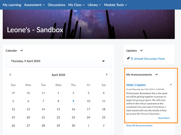 Brightspace Announcements