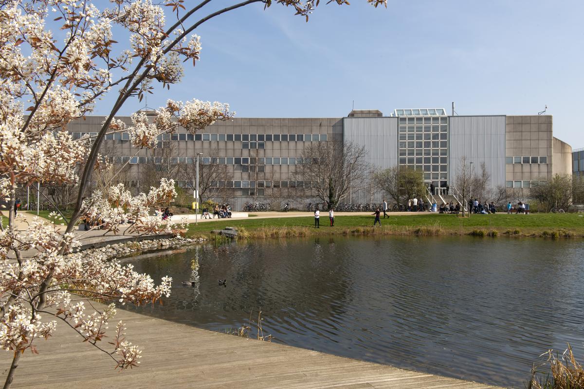 UCD Campus View