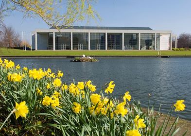 daffodils, lake, oreilly hall