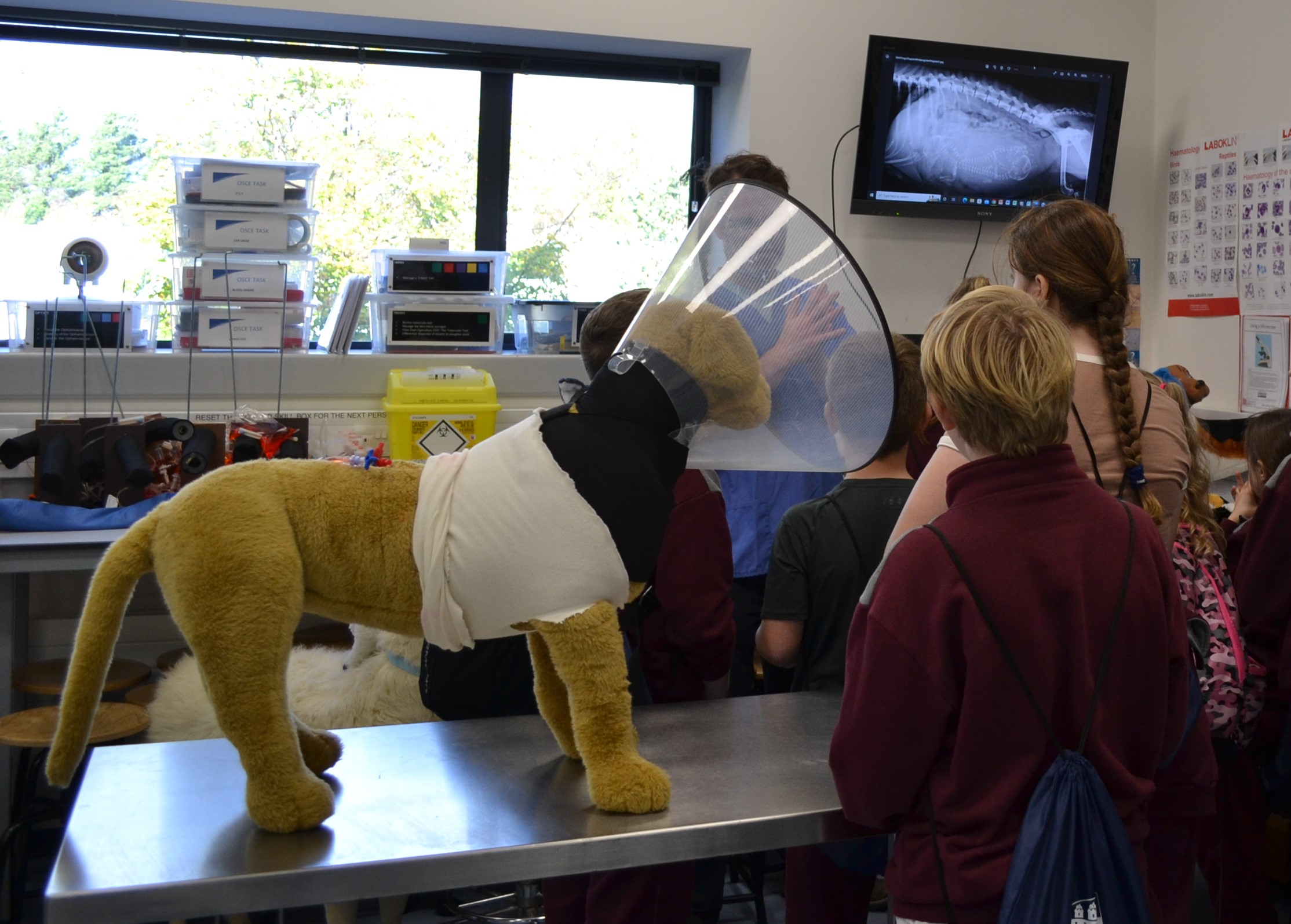 A toy dog wearing a cone and bandages. Children looking at a screen with an x-ray image