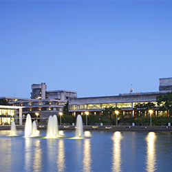 Night view of the Newman and James Joyce Library Buildings.