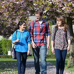 Students walk through cherry blossom on UCD's woodland campus.