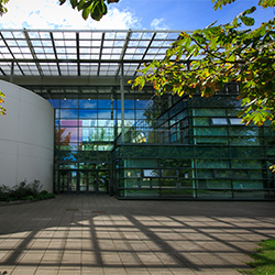 UCD Quinn School of Business