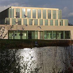 UCD Confucius Institute