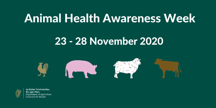 UCD School of Veterinary Medicine | Animal Health Week 2020