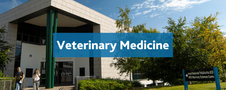 UCD School of Veterinary Medicine | Veterinary Medicine