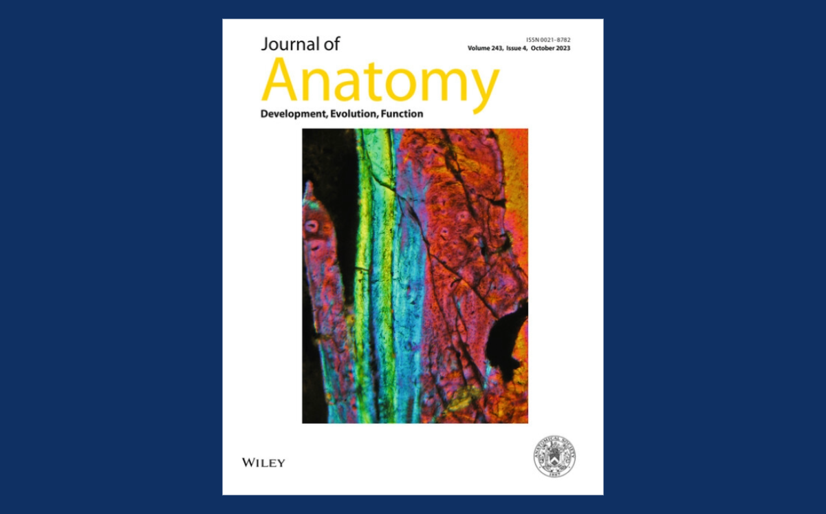 Sourav Bhattacharjee - Journal of Anatomy