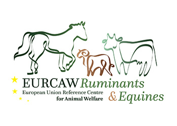EURCAW Ruminants and Equines logo
