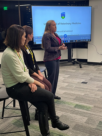 Three presenters at an information session