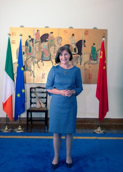 Ann Derwin in front of painting and Irish, EU and Chinese flags