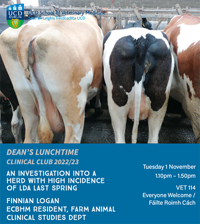 Clinical Club poster showing 3 cows feeding