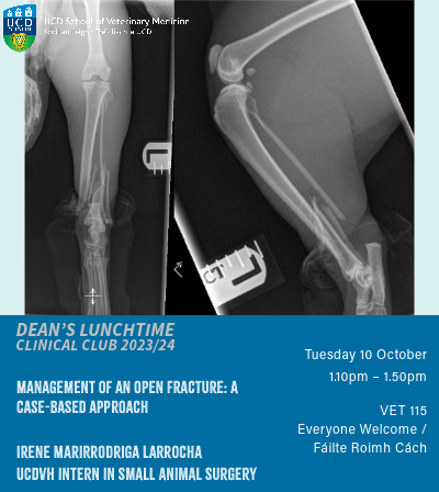 X-ray image of an open fracture