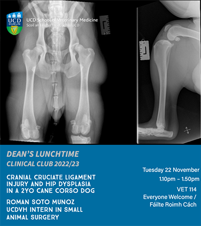 Clinical Club poster showing x-rays of a dog's pelvis and knee