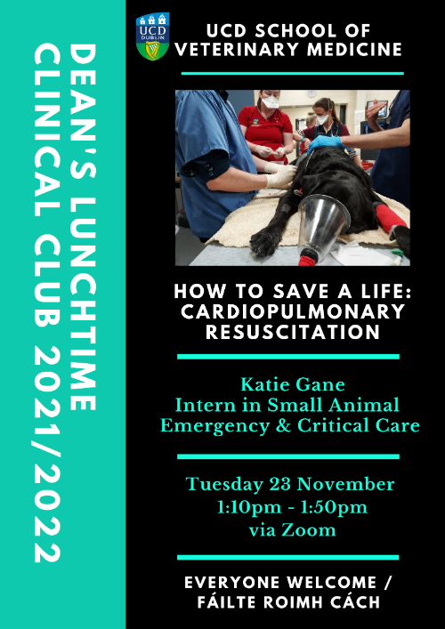 clinical club poster dog cpr