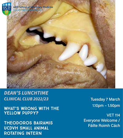 Image of dog's mouth showing jaundice mucous membranes