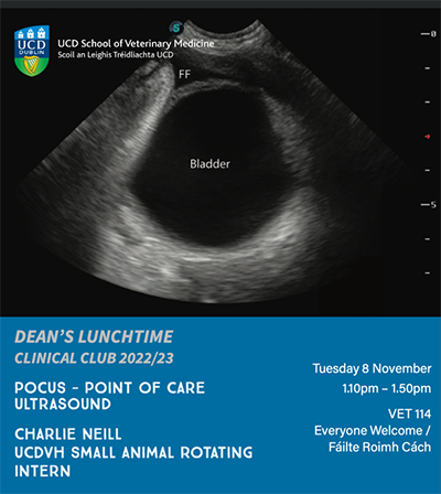 Clinical club poster showing image of ultrasound of a bladder