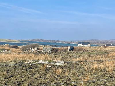 Photo of Connemara ponies grazing in the Clifden area