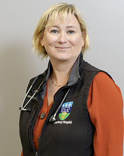Photo of Professor Carmel Mooney with a stethoscope around her neck