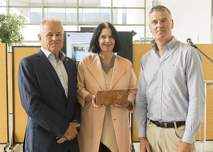 Professor Michael Doherty (left) with Professor Cecily Kelleher (centre) and Professor Rory Breathnach (right)