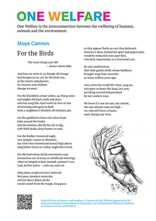 For the Birds poem by Moya Cannon