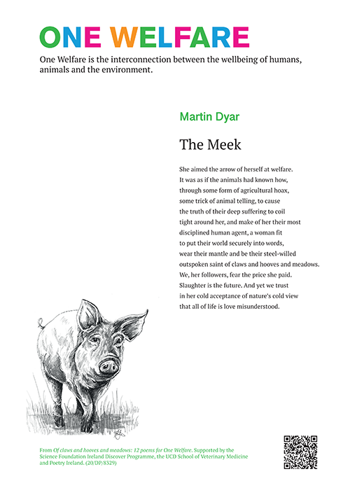 The Meek poem by Martin Dyar