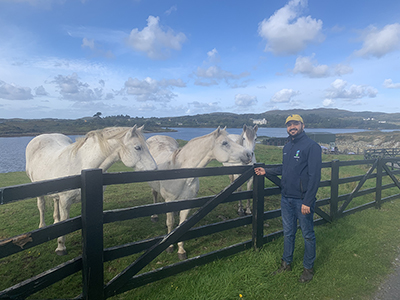 man standing at fence with three Connemara ponies