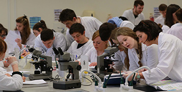 ucd vet school students lab work