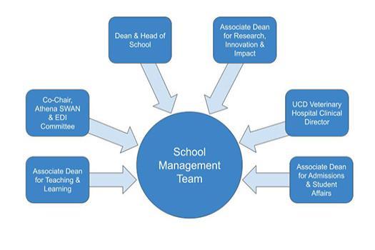 School Management Team Chart