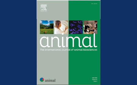 Cover of Animal journal